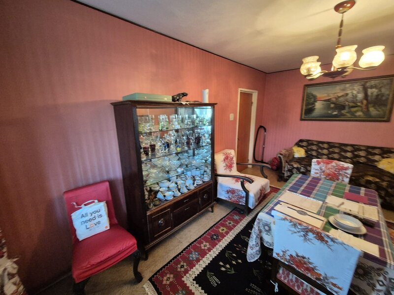 Ion Mihalache, Barbu Delavrancea,