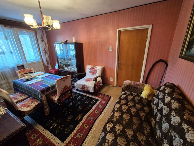 Ion Mihalache, Barbu Delavrancea,