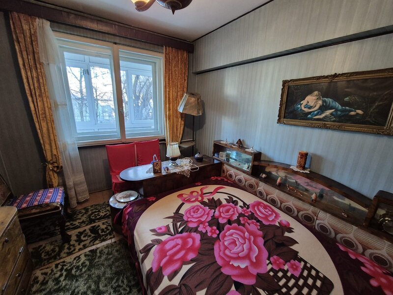 Ion Mihalache, Barbu Delavrancea,