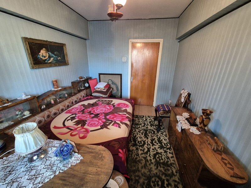 Ion Mihalache, Barbu Delavrancea,