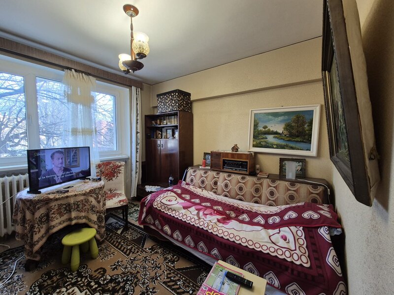 Ion Mihalache, Barbu Delavrancea,