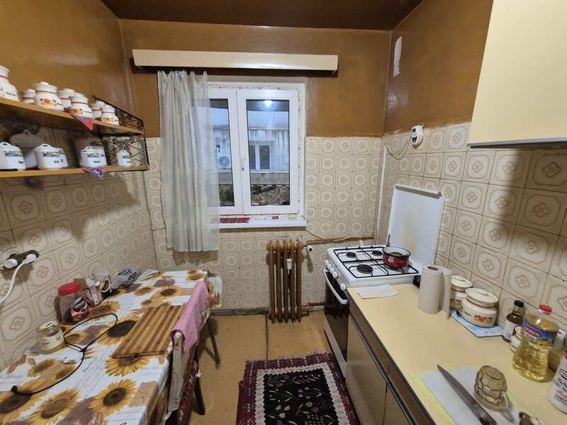 Ion Mihalache, Barbu Delavrancea,