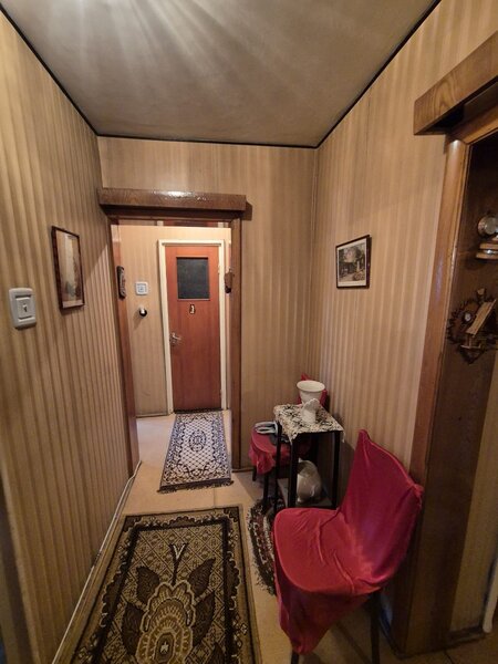 Ion Mihalache, Barbu Delavrancea,