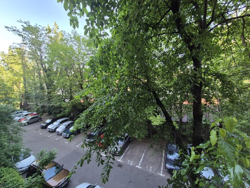 Ion Mihalache, Barbu Delavrancea,