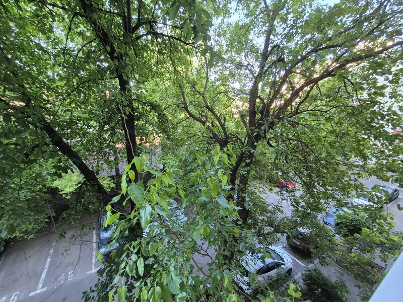 Ion Mihalache, Barbu Delavrancea,